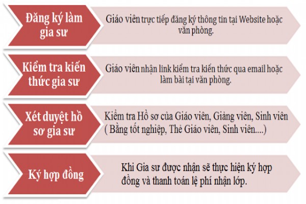 Quá trình tuyển chọn gia sư