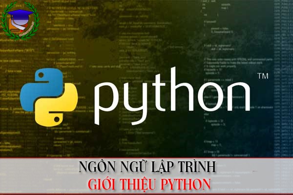 Ngôn ngữ lập trình Python là gì?