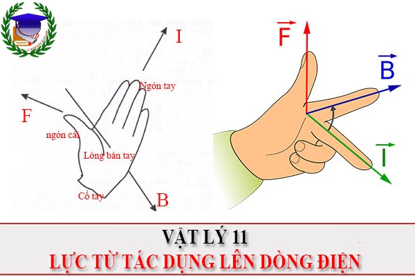 [Vật Lí 11] - Lực từ tác dụng lên dòng điện