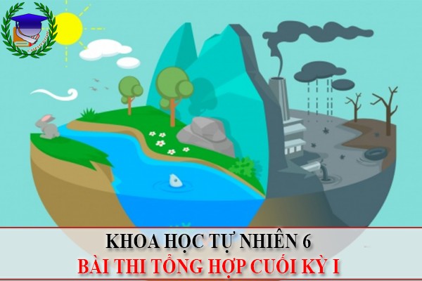 [KHTN 6] - Bài thi tổng hợp cuối kỳ 1