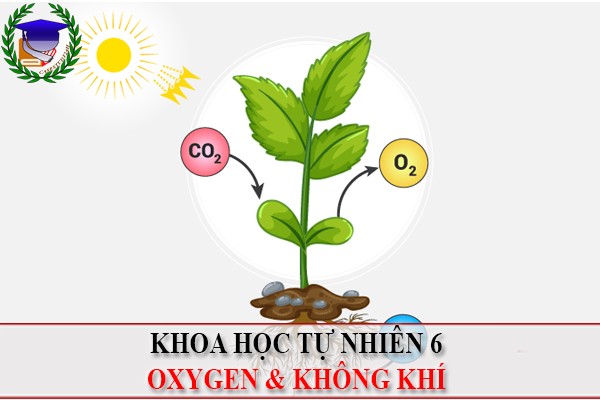 [KHTN 6] - Oxygen và không khí