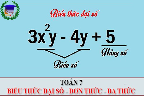 [Toán 7] - Biểu thức đại số