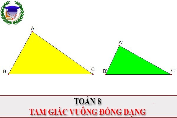 [Toán 8] - Tam giác vuông đồng dạng
