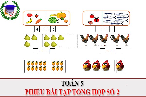 [Toán 5] - Phiếu bài tập tổng hợp số 2