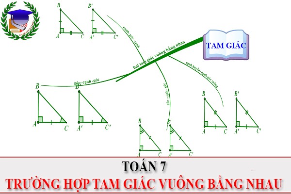 [Toán 7] - Hai tam giác vuông bằng nhau